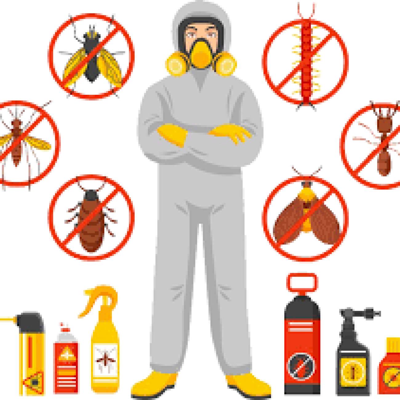 Expert Pest Control Services in Spring TX OWS Repair