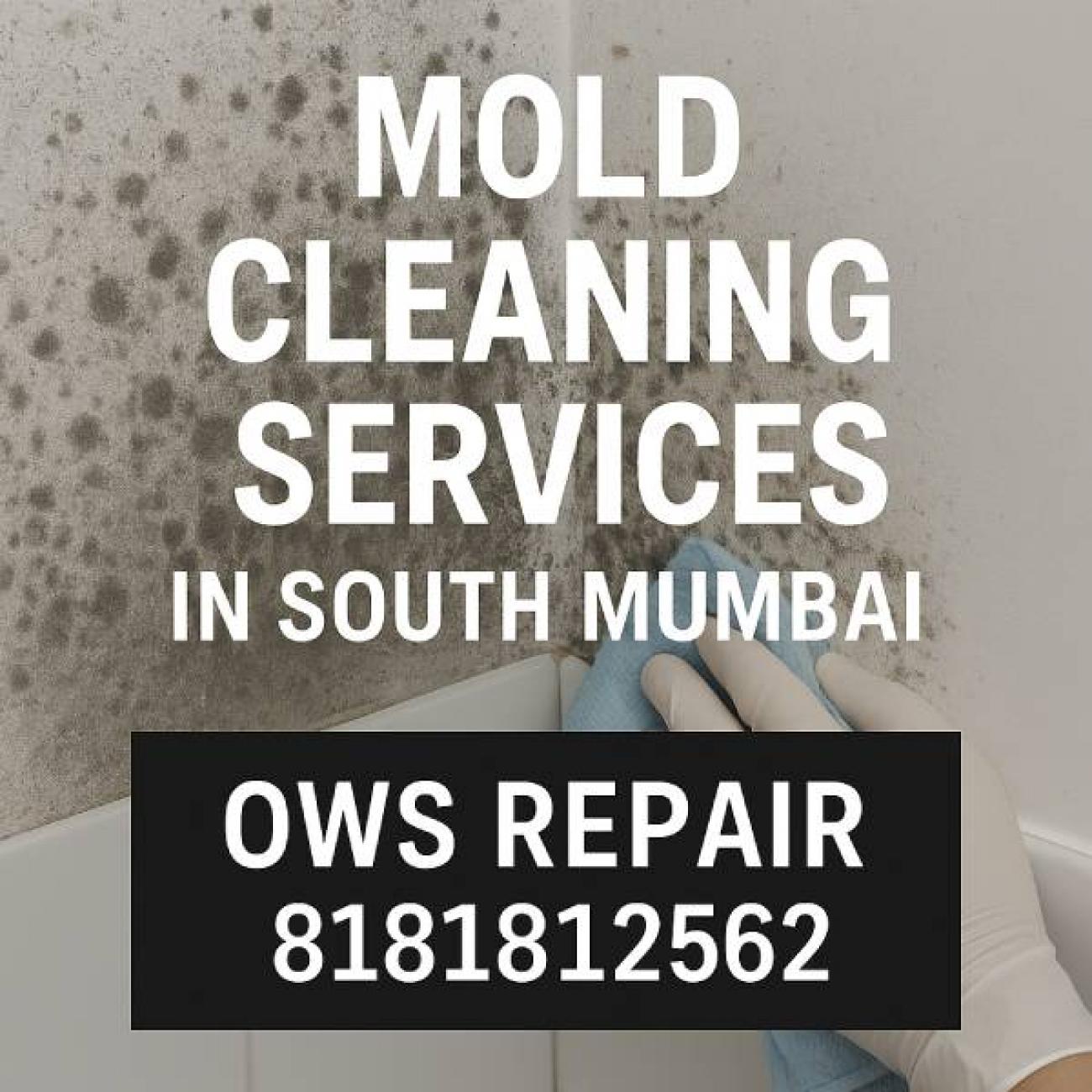 Mold Cleaning Services in South Mumbai