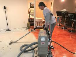 Professional Mold Removal in Naples Florida