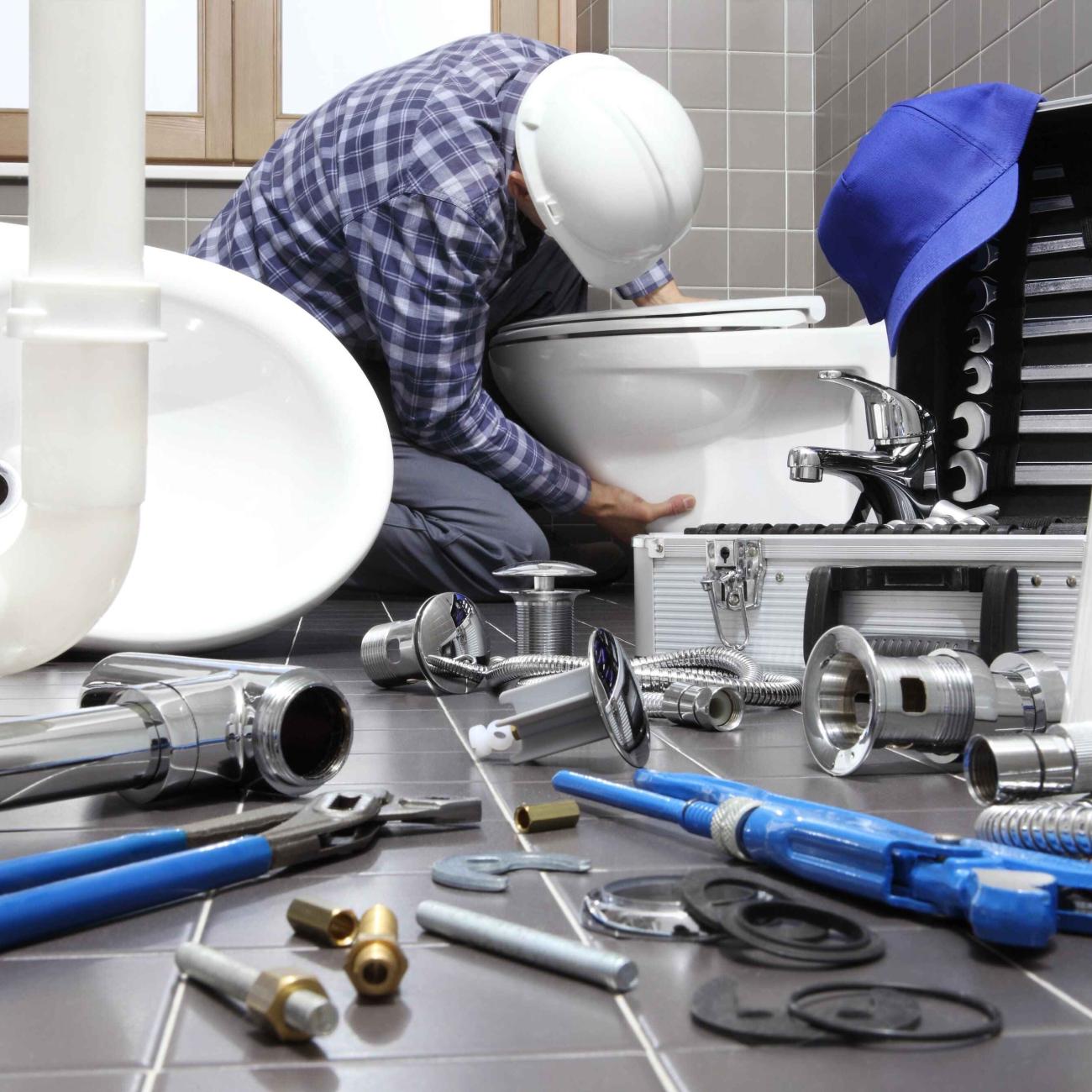 Professional Plumbing Services in Bellevue WA OWS Repair